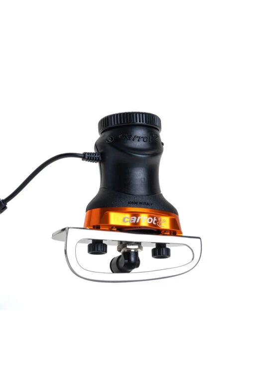 Carrot -Skate Negozio 0001374 carrot