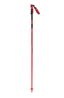 Rossignol - Skipoles - Hero GS
