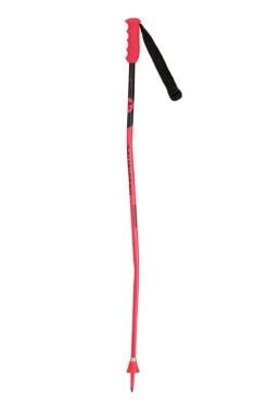 Rossignol - Skipoles - GS SG - Junior
